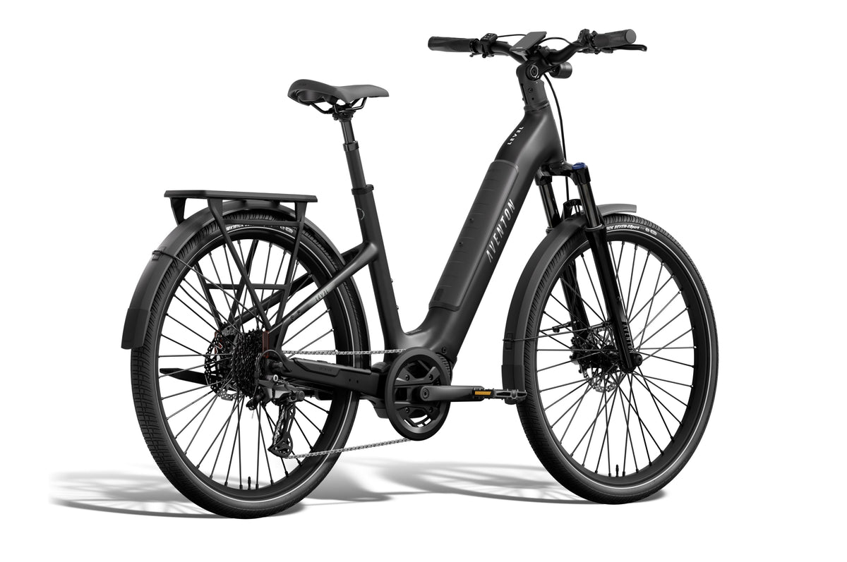 Level 4 ADV Step-Through Ebike