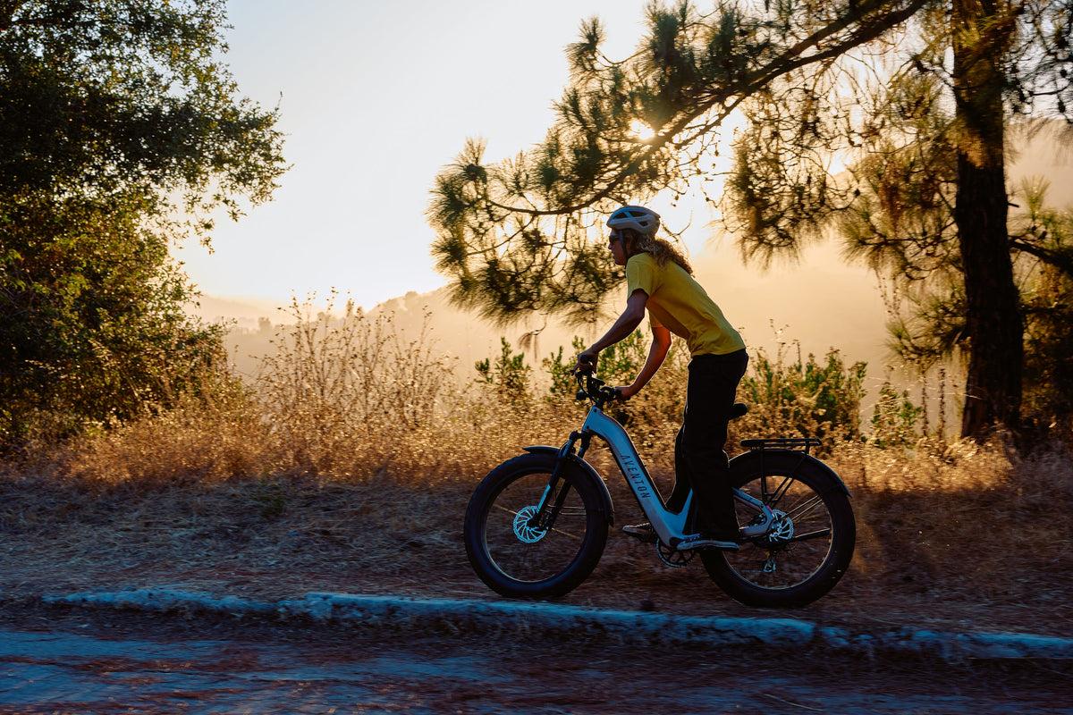 Aventure 3 Ebike