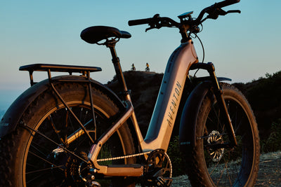 Aventure 3 Step-Through Ebike