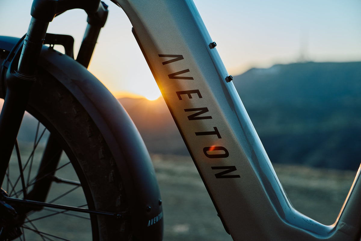 Aventure 3 Step-Through Ebike