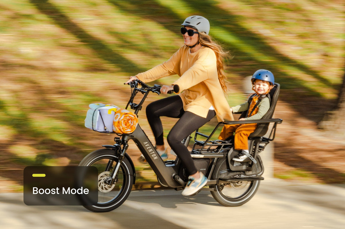 Abound LR Ebike