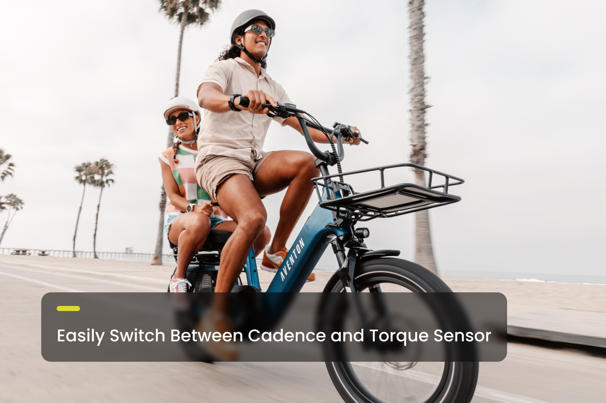 Abound SR Ebike