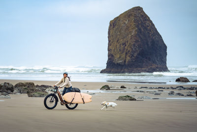 Aventure 3 Ebike