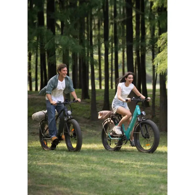 ENGWE E26 Fat Tyre Electric Bike – Road Legal 250W