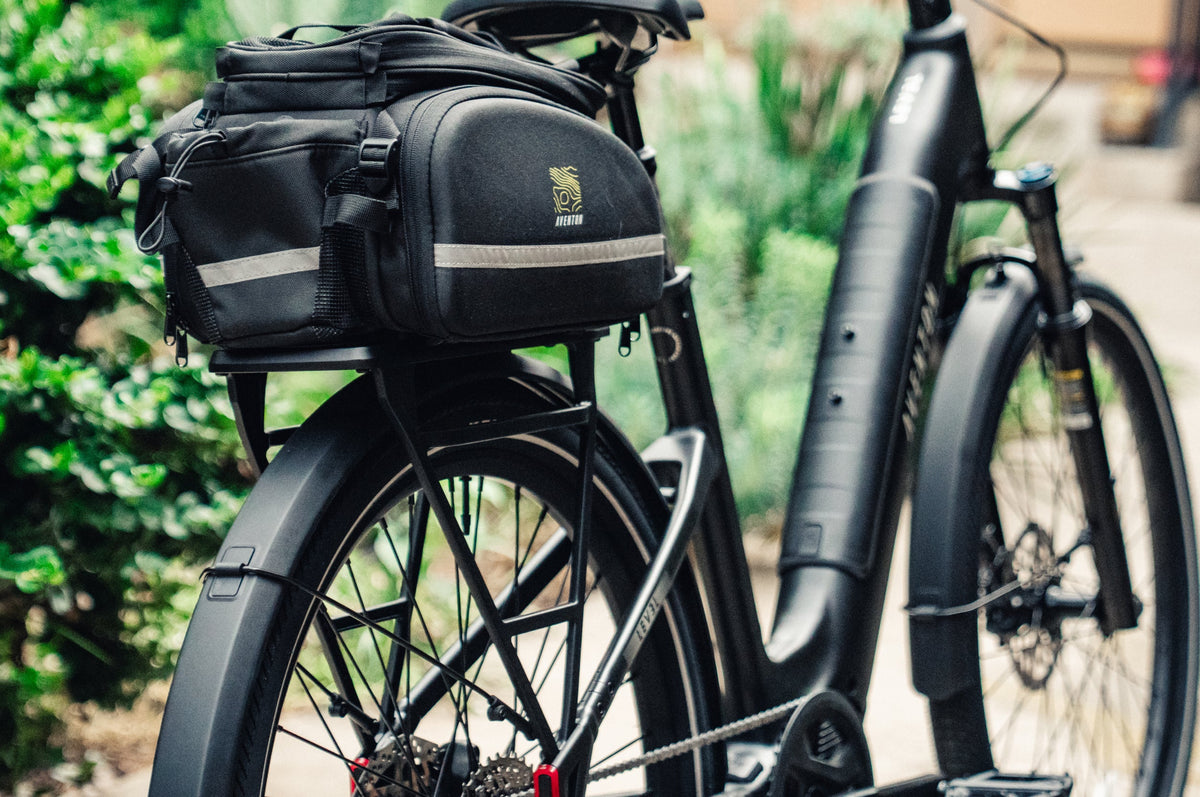 Level 4 ADV Ebike