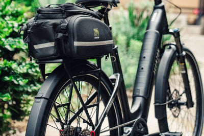 Level 4 ADV Step-Through Ebike