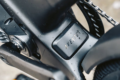 Level 4 ADV Ebike