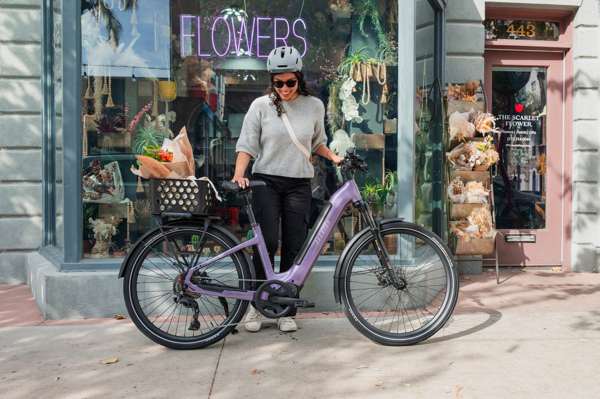 Level 4 ADV Step-Through Ebike