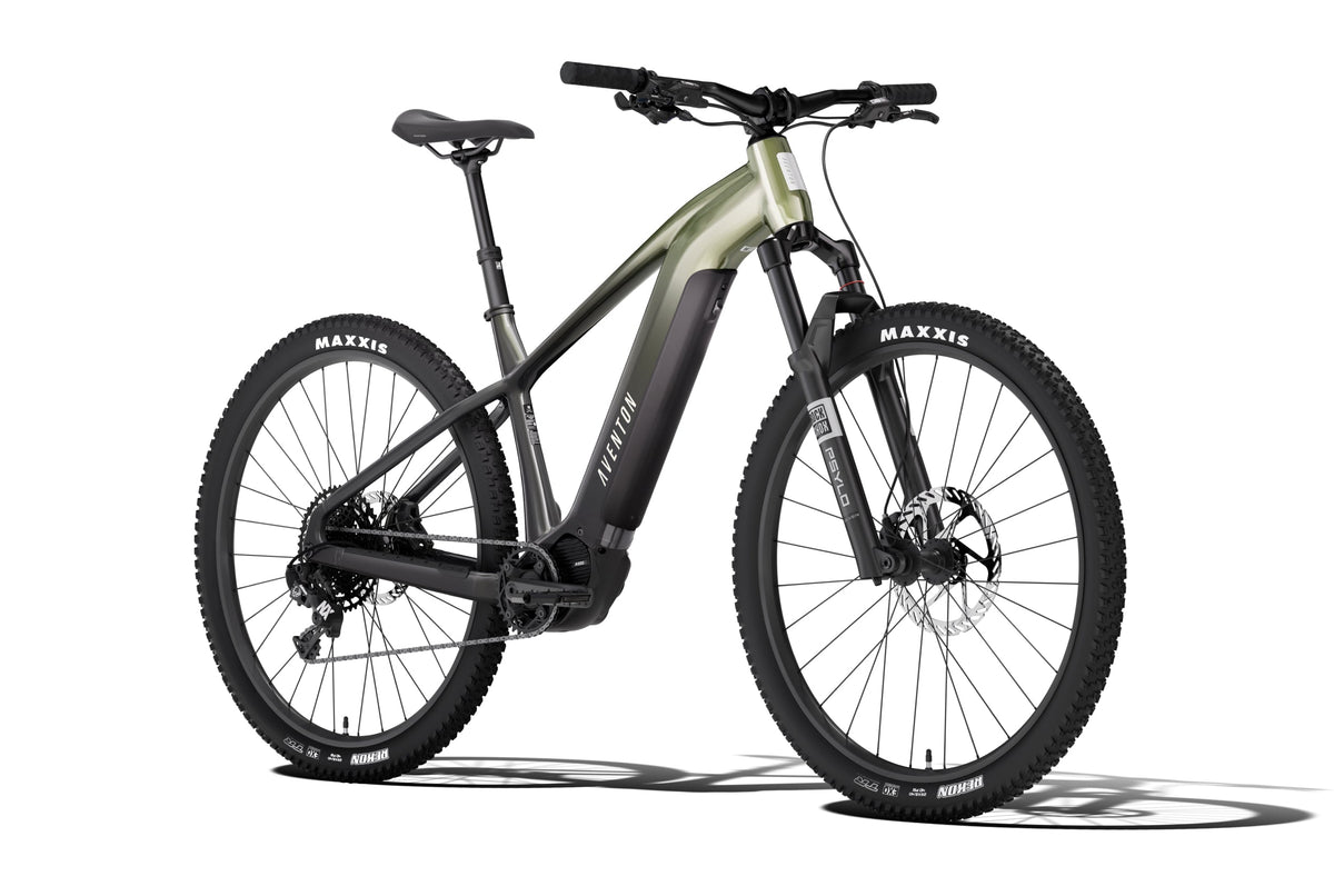 Ramblas ADV Ebike