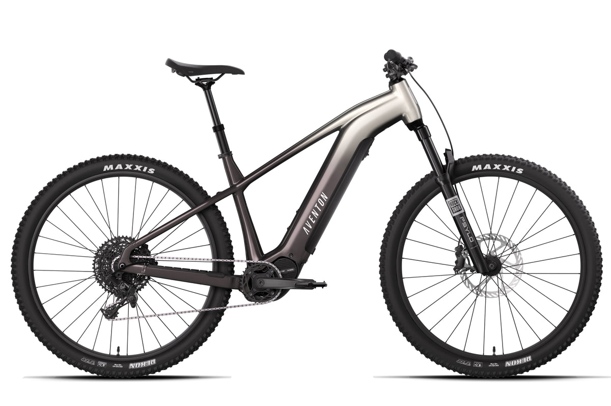 Ramblas ADV Ebike