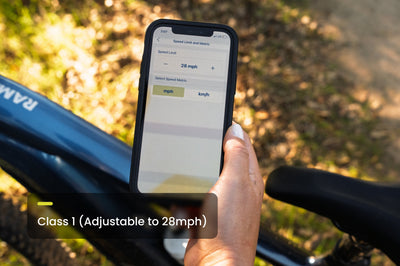 Ramblas ADV Ebike