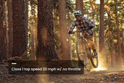 Ramblas Ebike