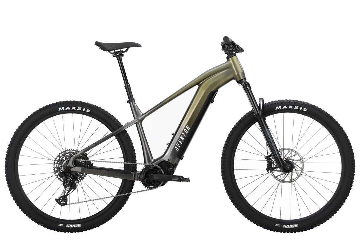 Ramblas Ebike