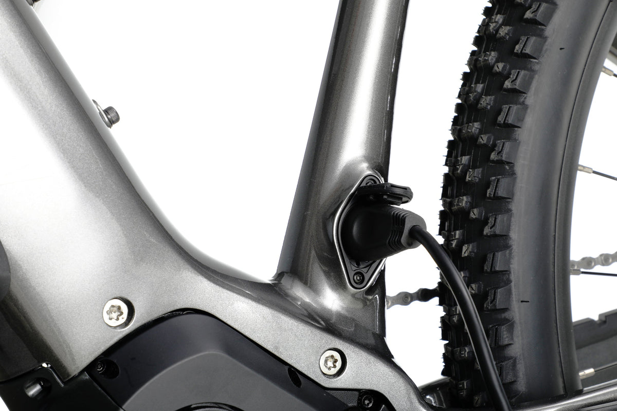 Ramblas Ebike