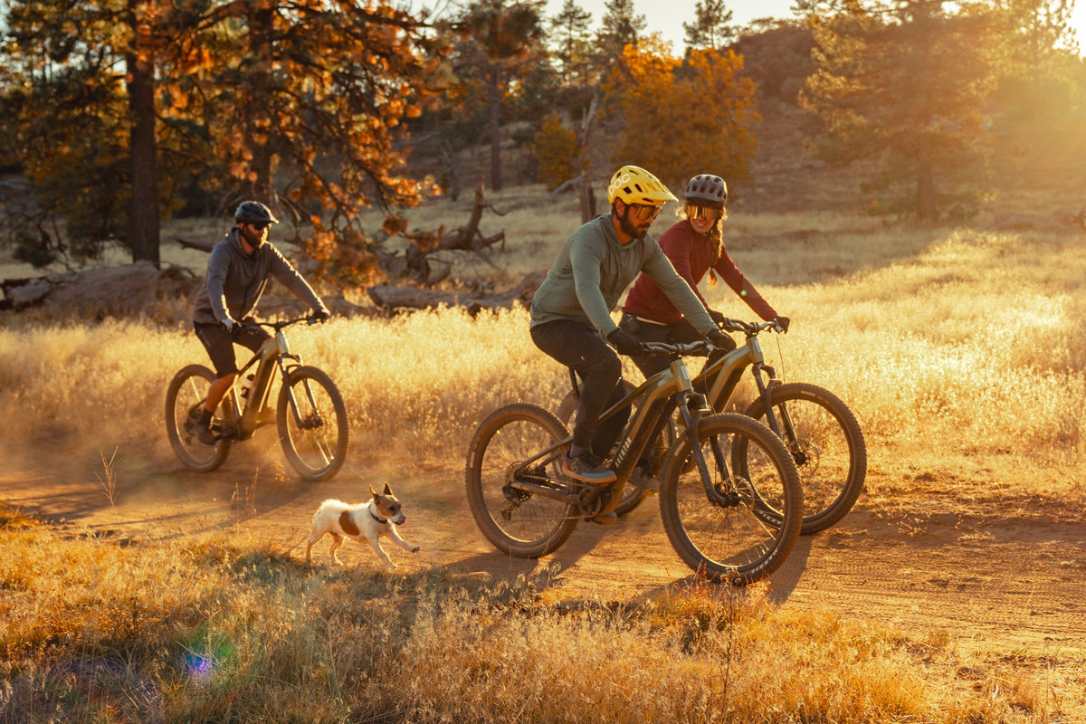 Ramblas Ebike